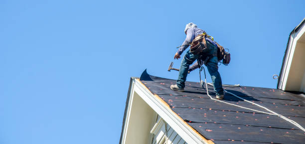 Best Roof Gutter Cleaning  in Poynette, WI